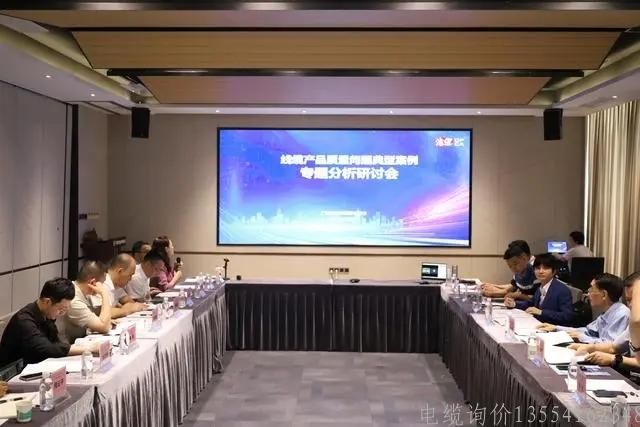 广东线缆协会分享打假维权与质量提升双重成果